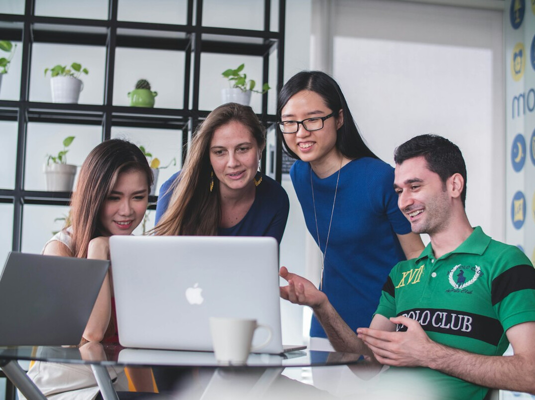 professional software development team